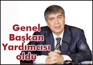 Türel, Genel Başkan Yardımcısı